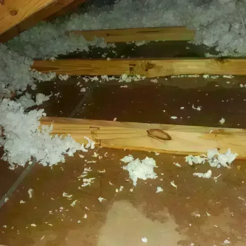 Attic Water Damage in Mexico Beach, FL