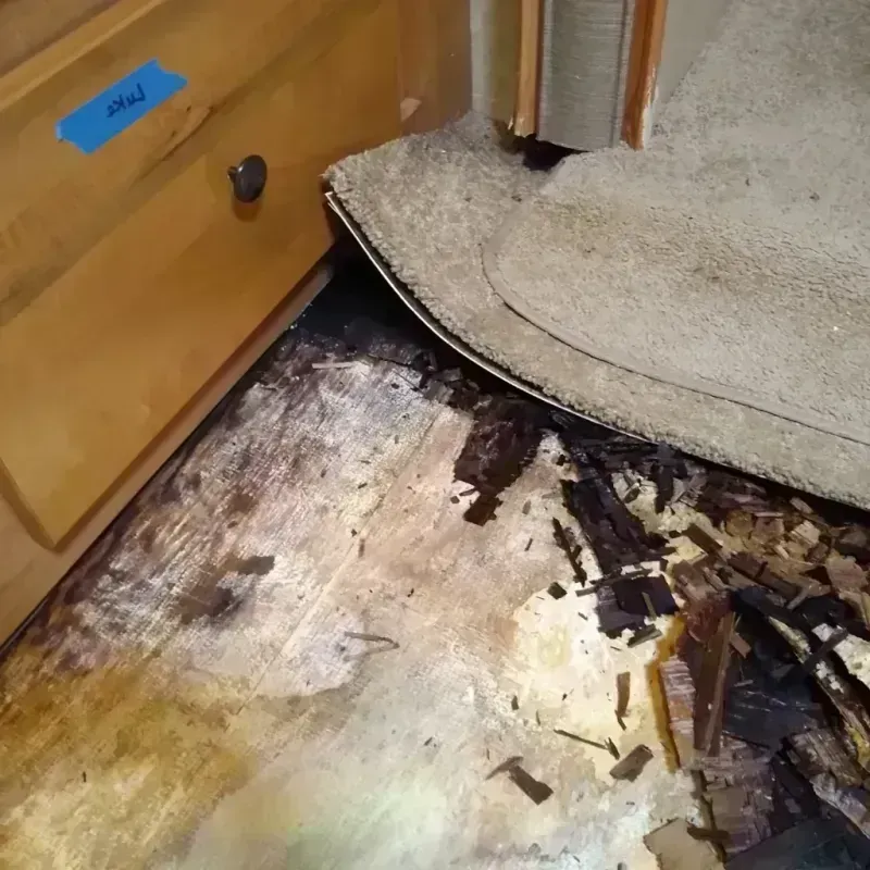 Wood Floor Water Damage in Mexico Beach, FL